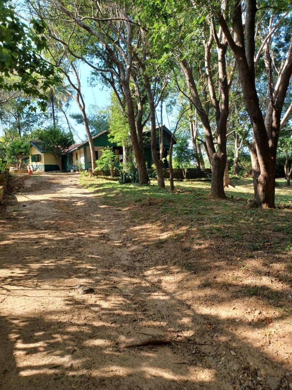 Udawalawe Wildlife&Nature Protection Bungalow Bagian luar foto
