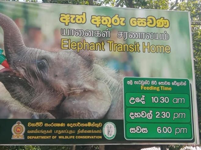 Udawalawe Wildlife&Nature Protection Bungalow Bagian luar foto
